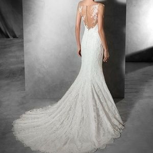 Pronovias Custom Illusion Lace Appliqué Gown